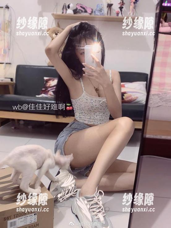 佳佳酱ovo 喂!在线原图,佳佳酱ovo的灰丝又要抢镜了