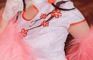 看!樱落Selena的写真在网盘里,屑屑女仆也能让人多看几眼。
