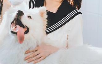 河豚抚子的修女合集,更新的瞬间,让人脑内冒出无数问号。